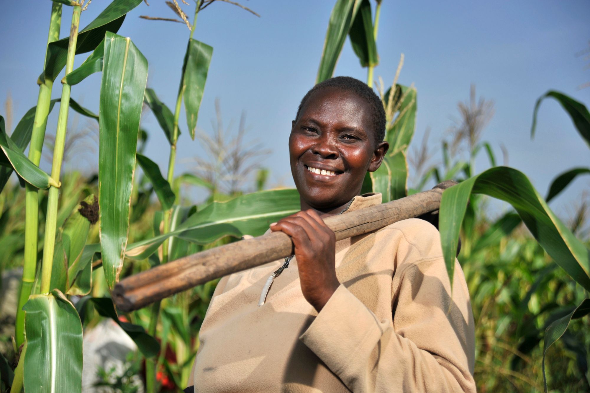 African female farmer in the fields